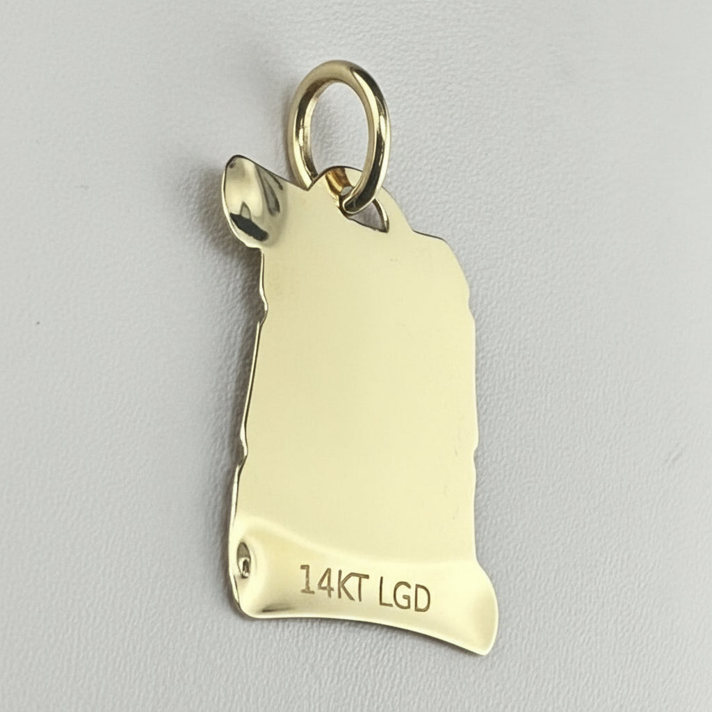 14K Gold Virgin of Guadalupe Enamel Medal