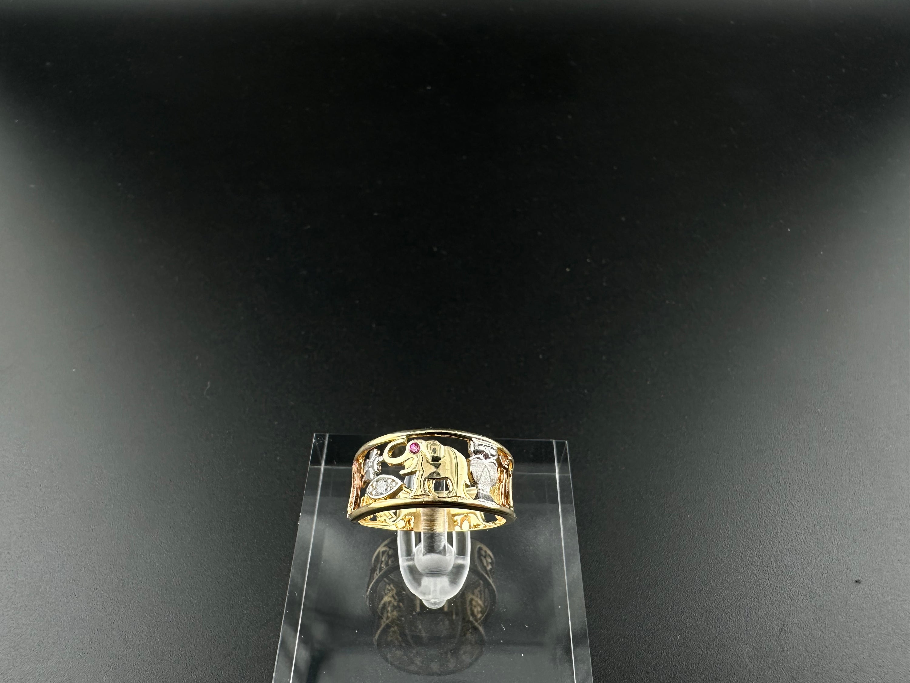 anillo 9