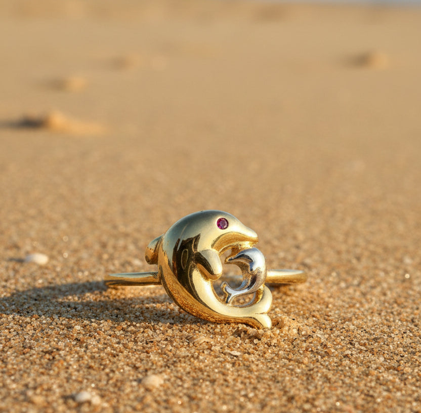 Ring dolphin