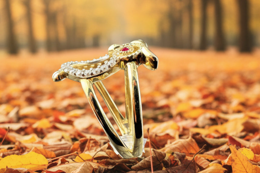Ring Buo