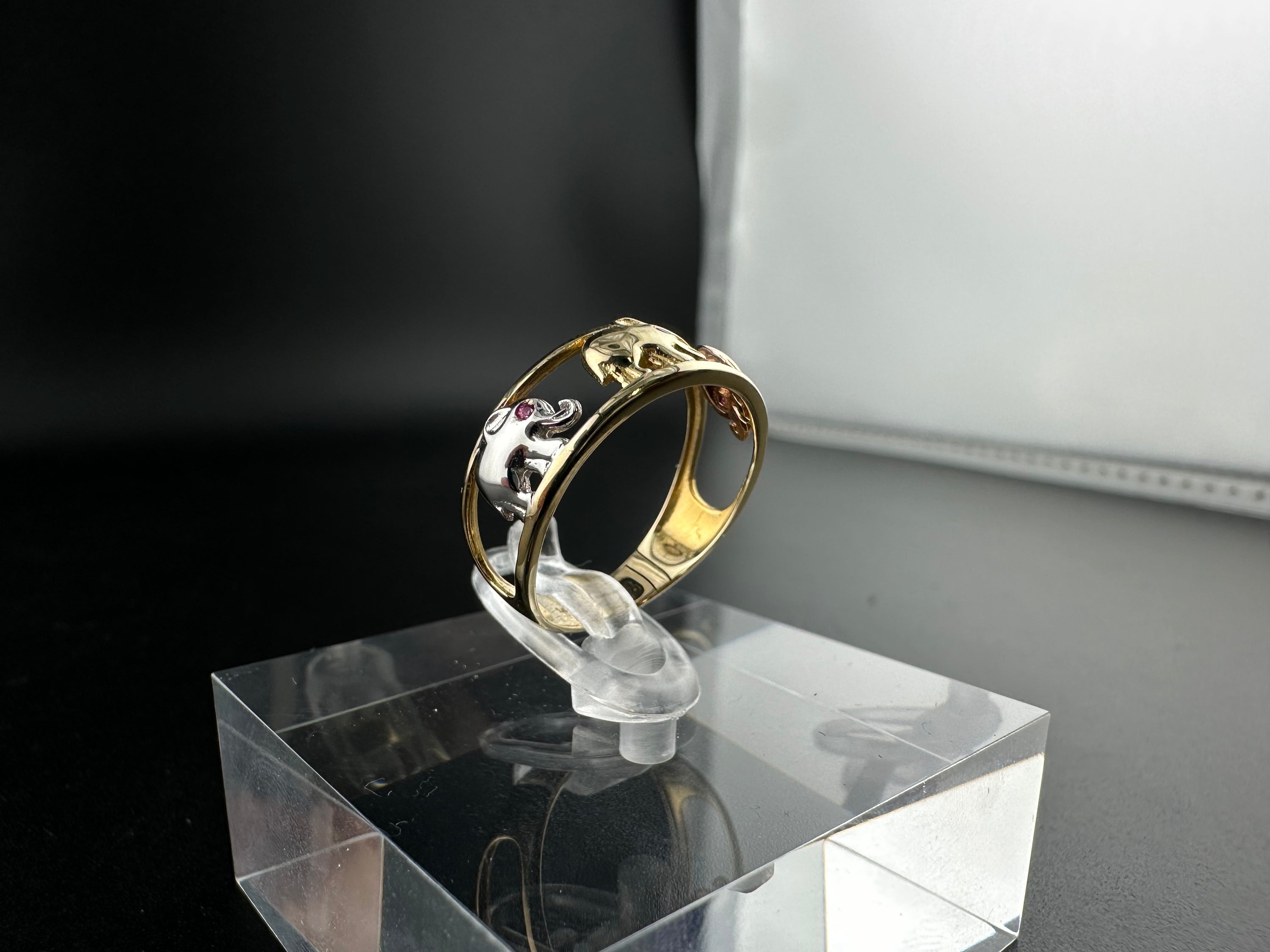 anillo10