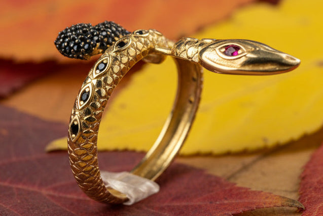 Ring Snake