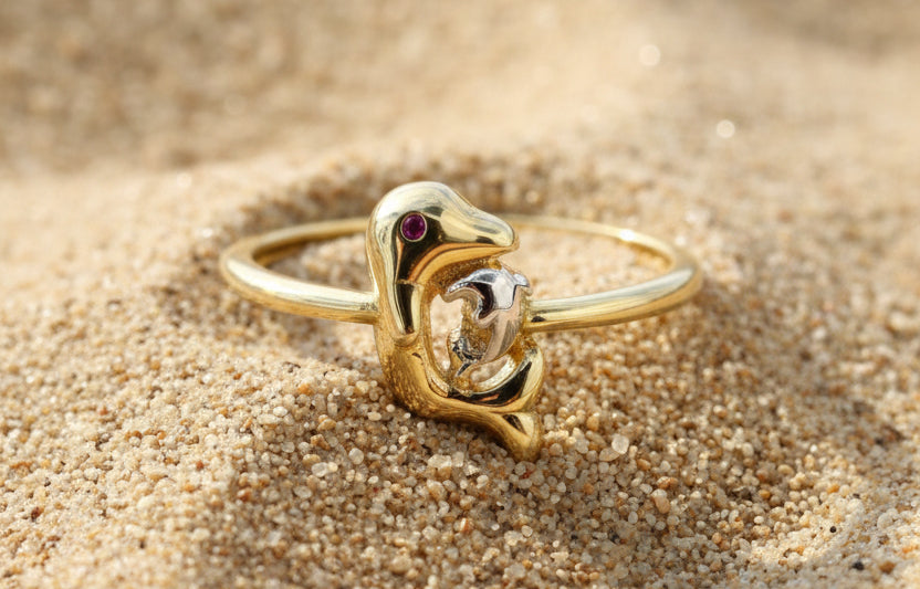 Ring dolphin