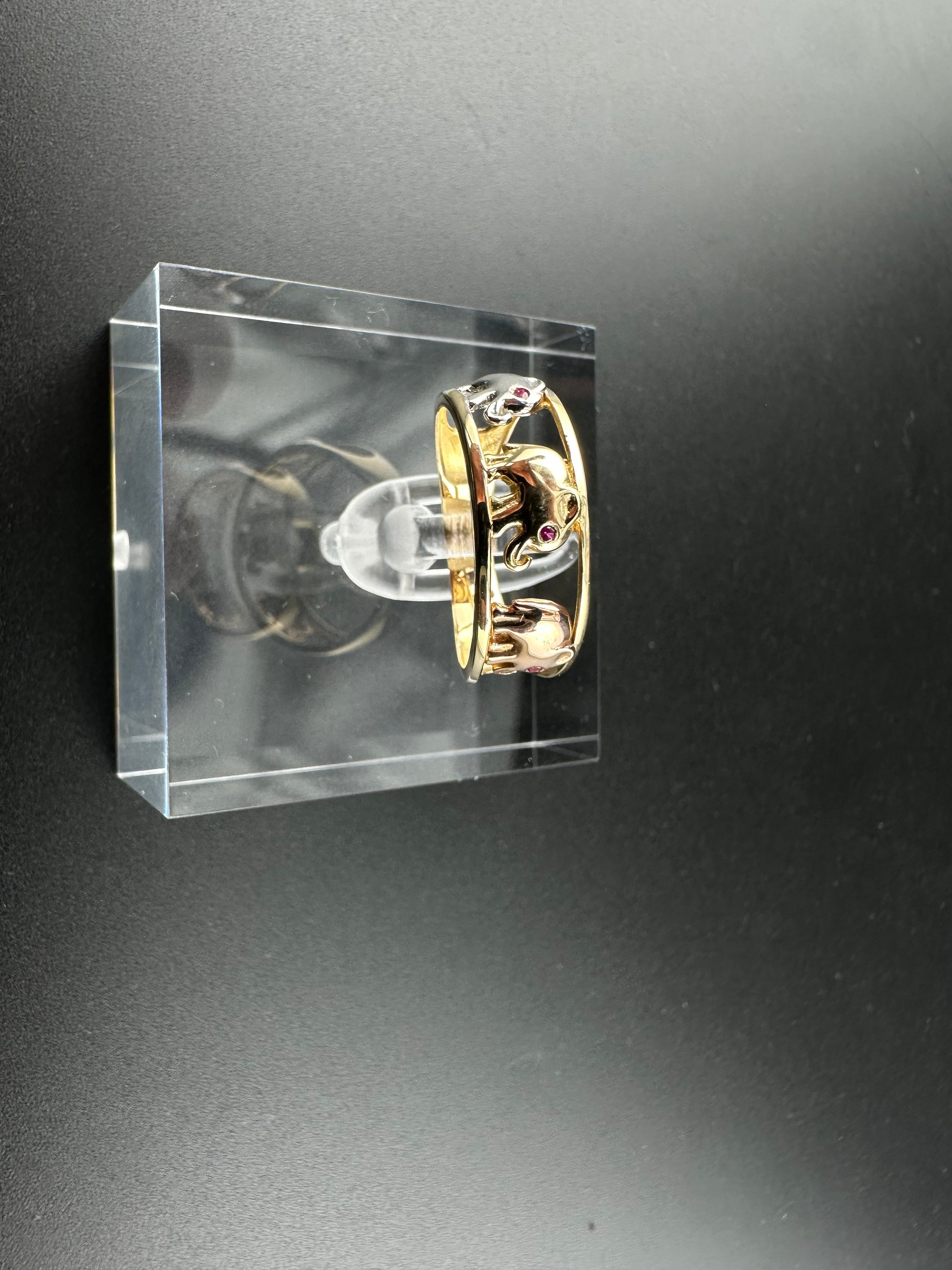 anillo10